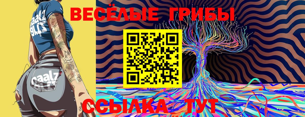 Галлюциногенные грибы MAGIC MUSHROOMS  как найти наркотики  Азов  Вход с VPN 